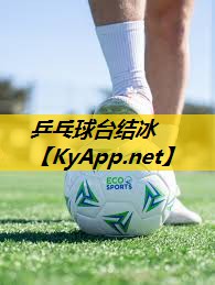 乒乓球台结冰