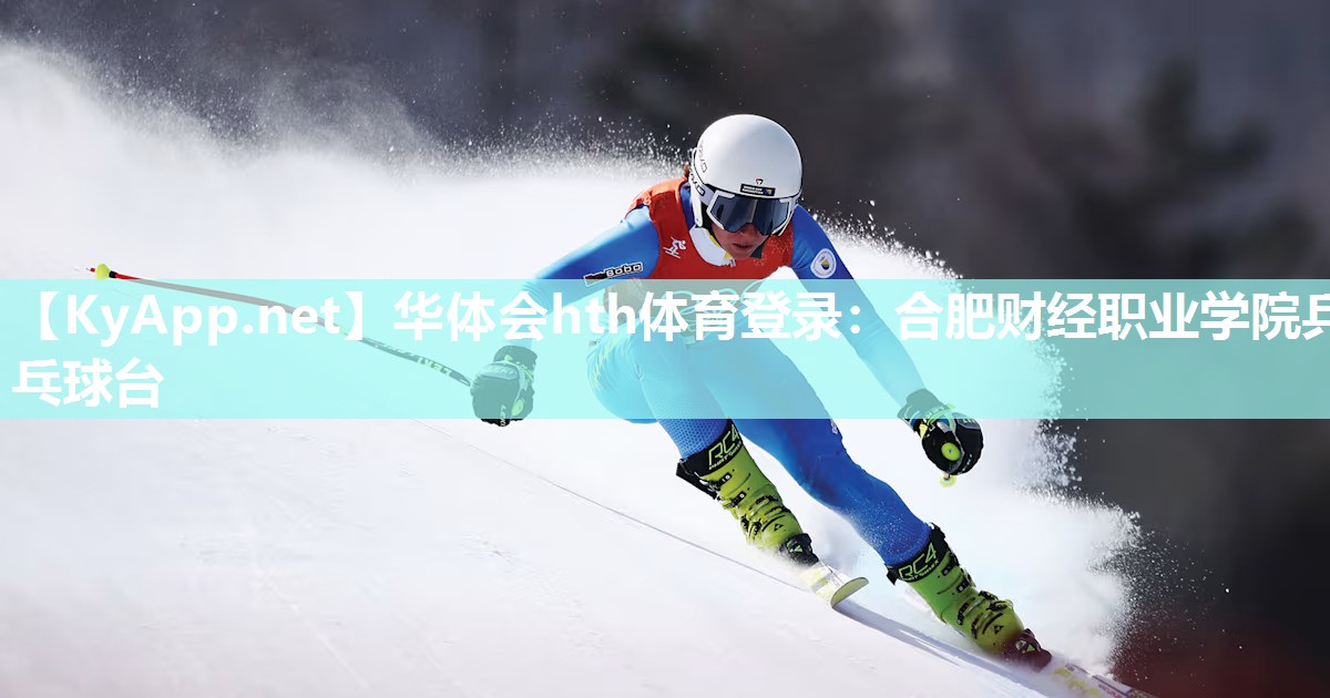 华体会hth体育登录：合肥财经职业学院乒乓球台