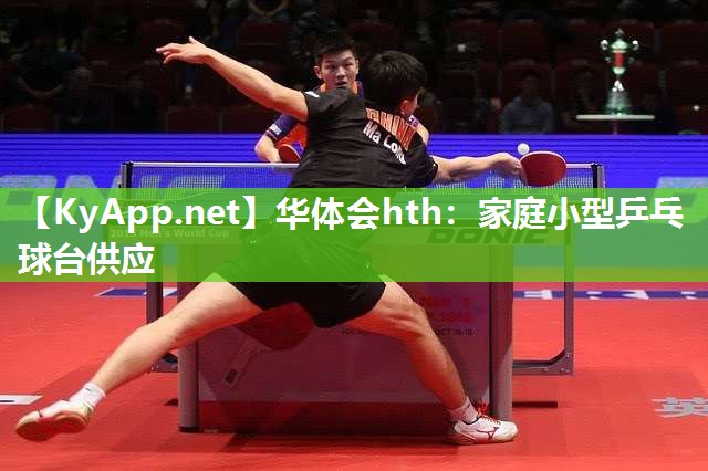 华体会hth：家庭小型乒乓球台供应