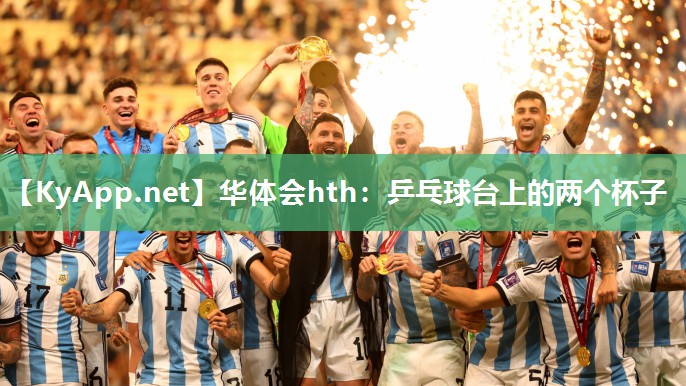 华体会hth：乒乓球台上的两个杯子