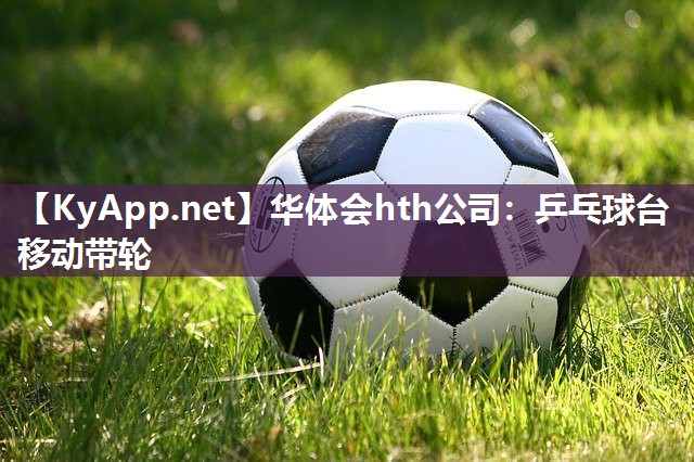 华体会hth公司：乒乓球台移动带轮