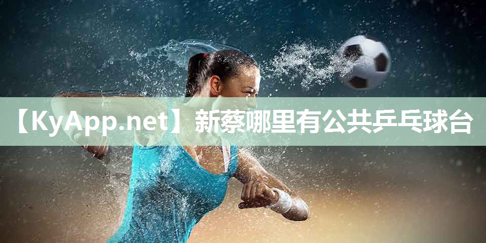 新蔡哪里有公共乒乓球台