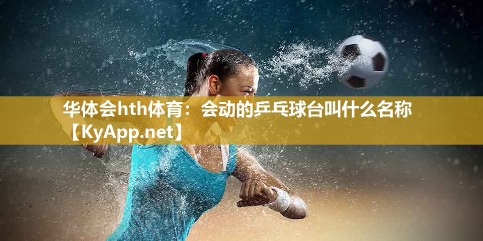 华体会hth体育：会动的乒乓球台叫什么名称