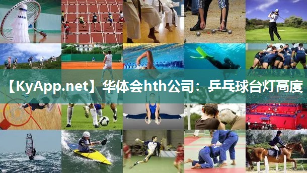 华体会hth公司：乒乓球台灯高度