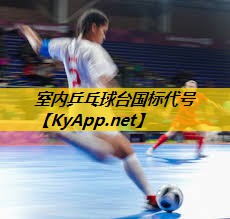 室内乒乓球台国标代号