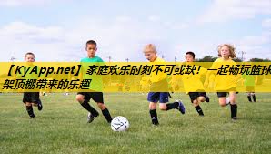 家庭欢乐时刻不可或缺！一起畅玩篮球架顶棚带来的乐趣