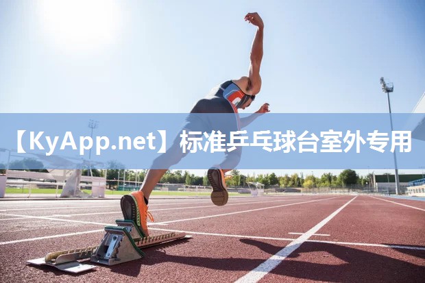 标准乒乓球台室外专用