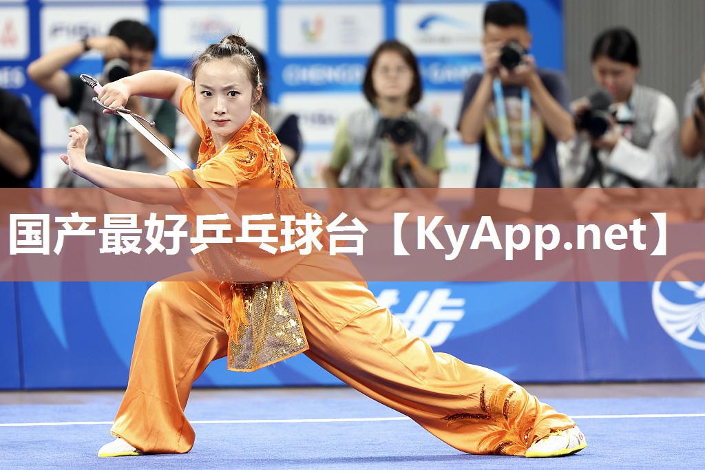 国产最好乒乓球台