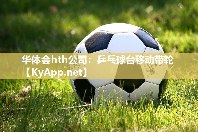 乒乓球台移动带轮