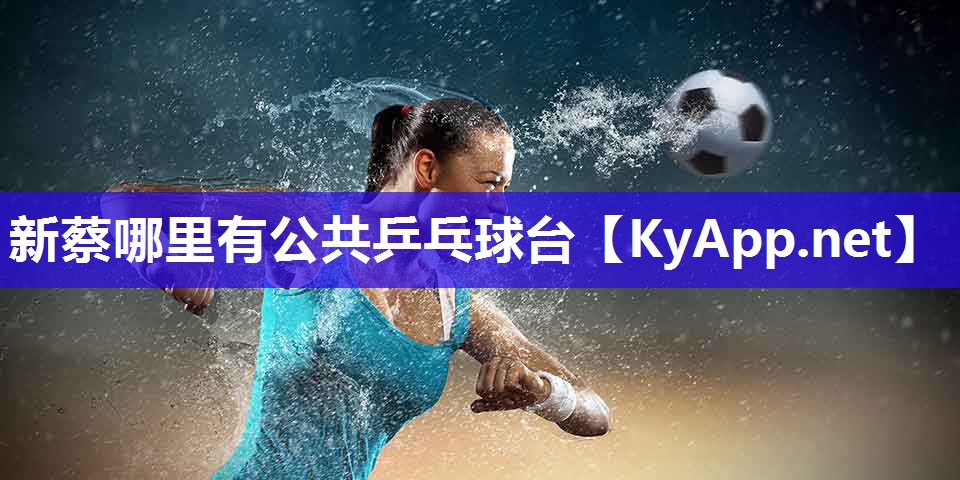 新蔡哪里有公共乒乓球台