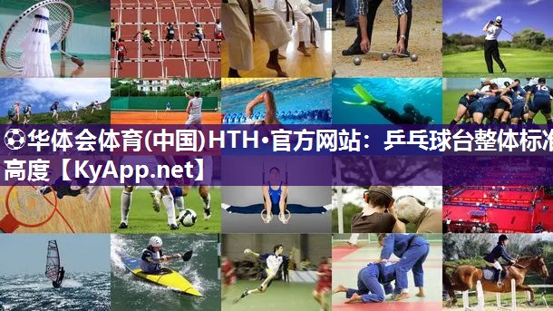 乒乓球台整体标准高度