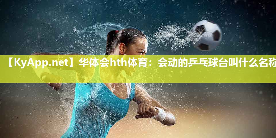 会动的乒乓球台叫什么名称