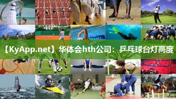 乒乓球台灯高度