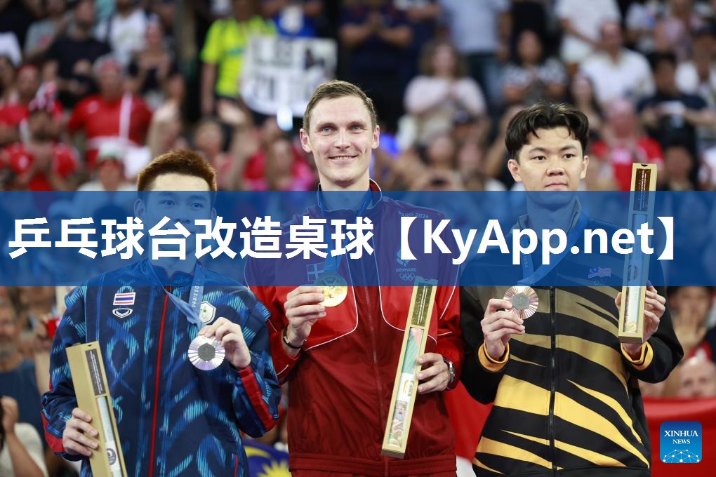 乒乓球台改造桌球