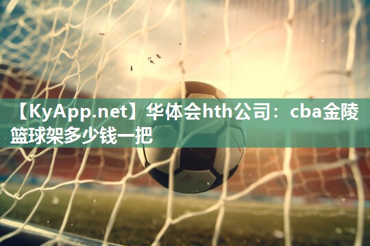 cba金陵篮球架多少钱一把