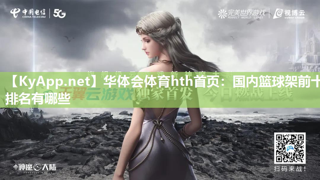 国内篮球架前十排名有哪些